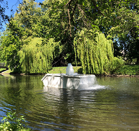 Springbrunnen auf einem Container in einem Parksee